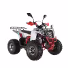 Комплект запчастей для сборки детского квадроцикла Wels Thunder EVO 125 X ST, белый