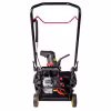 Снегоуборщик бензиновый Champion ST246