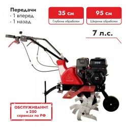 Культиватор бензиновый DDE Мустанг-2М V600ll-65HPR