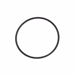 Кольцо уплотнительное GRASS 67.95x2.62мм (для помпы E3B2515R)