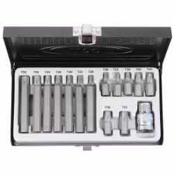 Набор бит TORX 15 пр. (TORX) T20-Е55 LICOTA