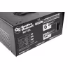 Зарядное устройство Quattro Elementi BC12А 770-131