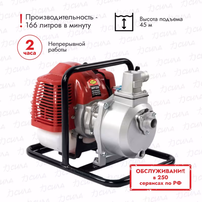 Мотопомпа DDE WP250