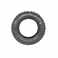 Шина для скутера Swallow 120/90-10