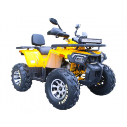 Квадроцикл Motoland Wild Track X PRO 200, желтый