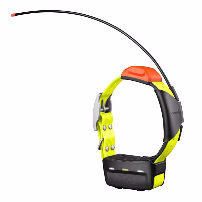 Ошейник GARMIN  T5 Collar Rus 