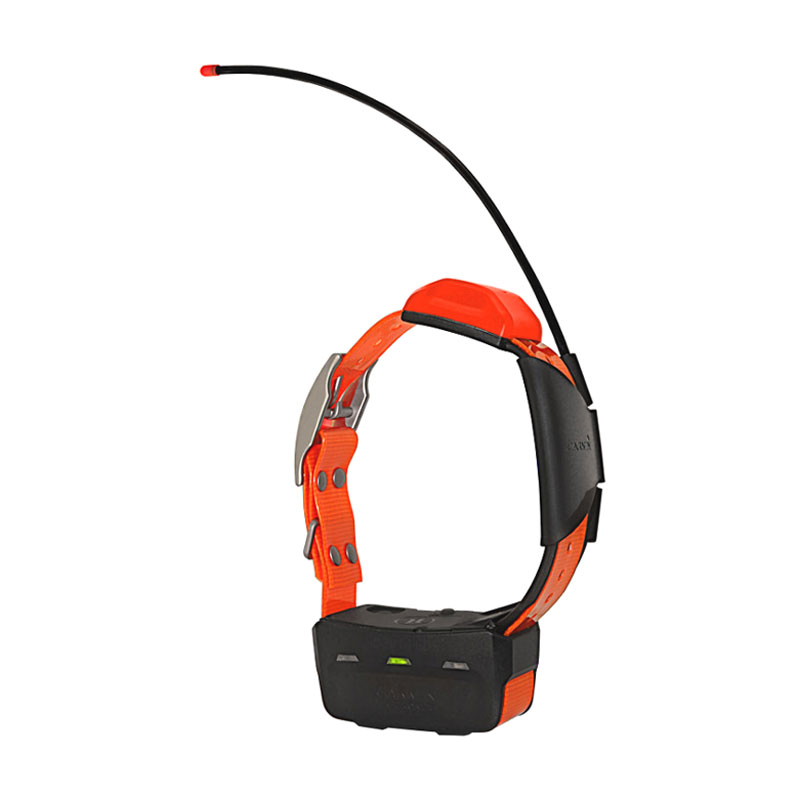 Ошейник GARMIN  T5 Collar Rus 