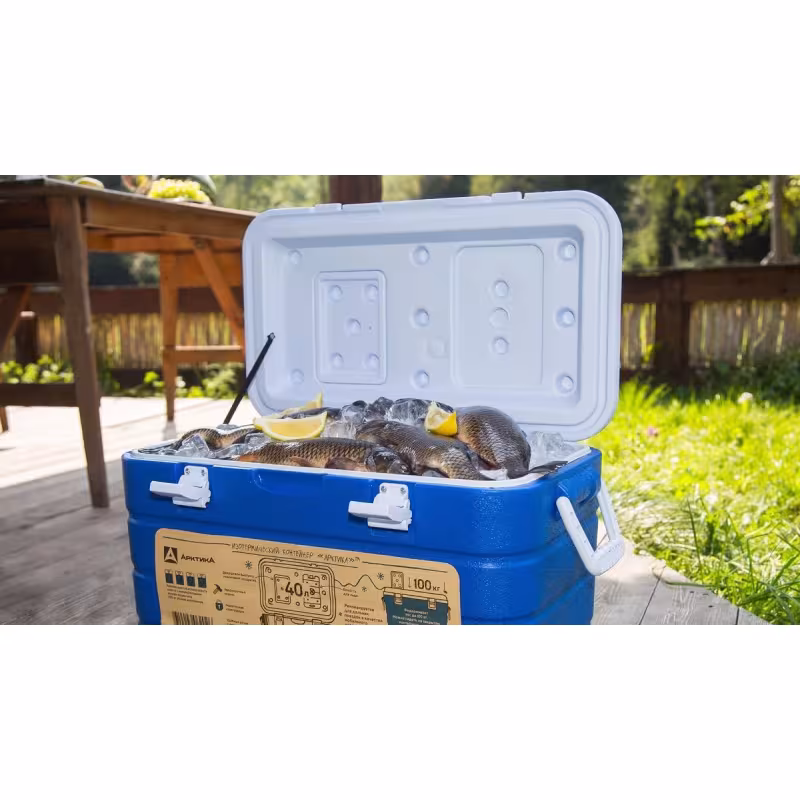 Термобокс Арктика 2000, 60 л, синий/белый
