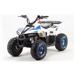 Квадроцикл детский Motoland Eagle 110, белый/синий