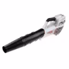 Воздуходувка аккумуляторная Stihl BGA 57 Set