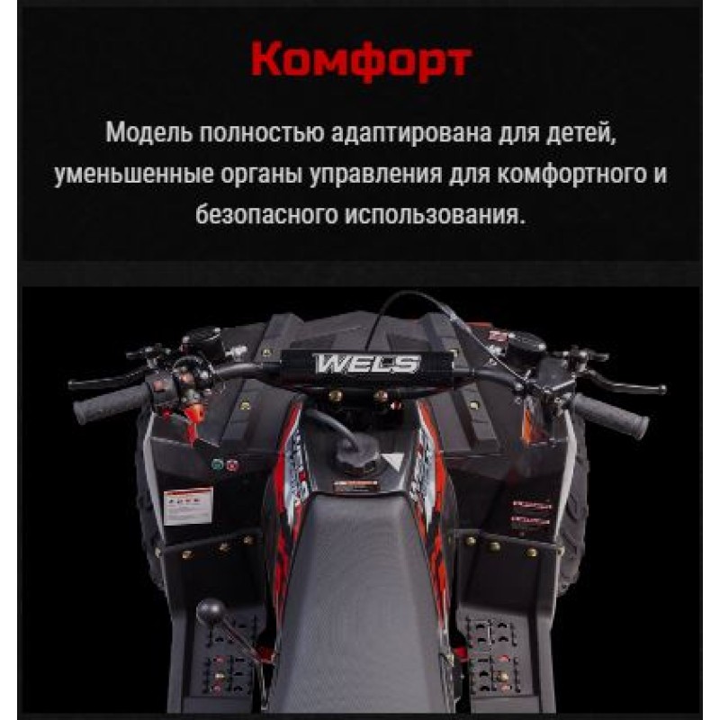 Квадроцикл детский Wels EVO.M 110, черный