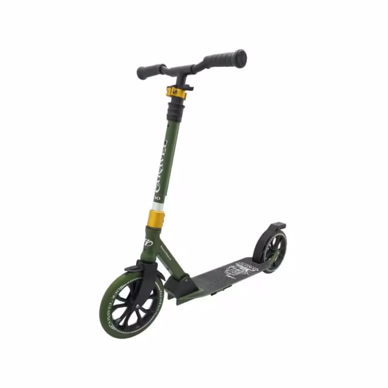 Самокат Tech Team Caravel 230