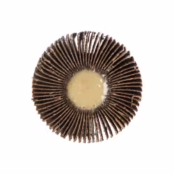 Круг лепестковый с оправкой Практика 50х18мм