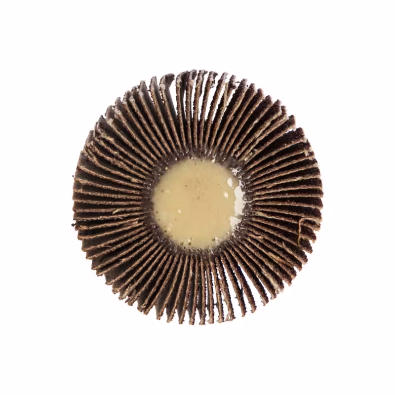 Круг лепестковый с оправкой Практика 50х18мм