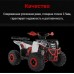 Квадроцикл детский Wels Thunder EVO 125, белый