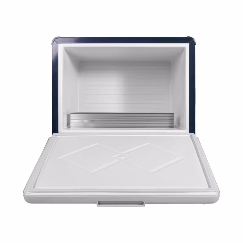 Термобокс электрогазовый Camping World DeLuxe, 42 л, серый/белый