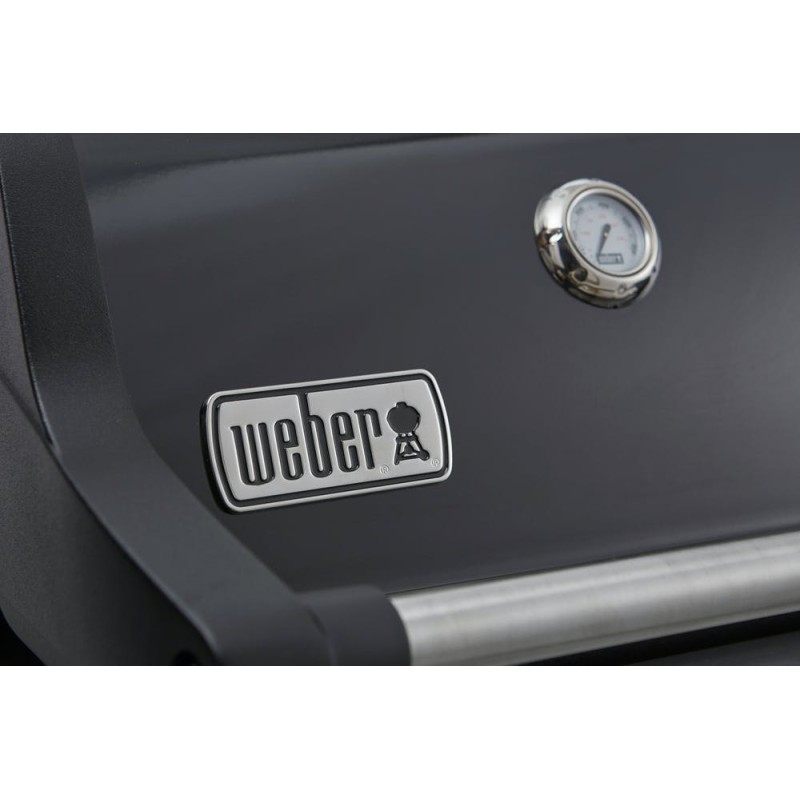 Гриль газовый Weber Spirit E-315 GBS