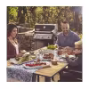 Гриль газовый Weber Spirit E-315 GBS
