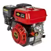 Двигатель бензиновый DDE E550-S20