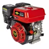 Двигатель бензиновый DDE E650-Q19