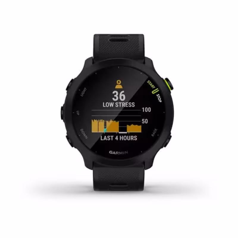 Смарт-часы Garmin Forerunner 55 GPS, черный