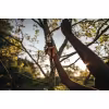 Секатор плоскостной Fiskars Xseries PowerGear L P961