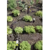 Фильтр Karcher Rain System