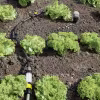Редуктор с фильтром Karcher Rain System