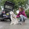 Салфетка из вискозы для высушивания шерсти Karcher