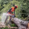Бензопила Husqvarna 545 Mark II