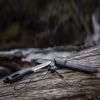 Нож с огнивом Morakniv Companion Spark Black 13567