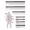 Костюм мужской Norfin Element+, ткань Breathable, черный/серый, размер XL