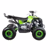 Квадроцикл детский Yacota Renegade, зеленый