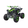 Квадроцикл детский Yacota Renegade, зеленый