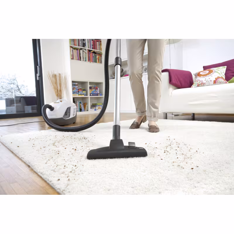 Пылесос Karcher DS 6 Premium Plus White