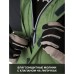 Костюм Finntrail Lightsuit 3503, Green, размер 42-44 (XS), 160-170 см