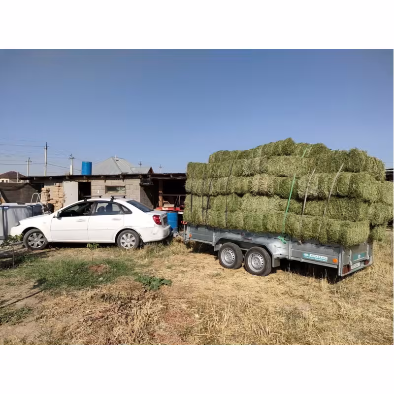 Прицеп бортовой двухосный Вектор ЛАВ 81013 Евро, высокий борт