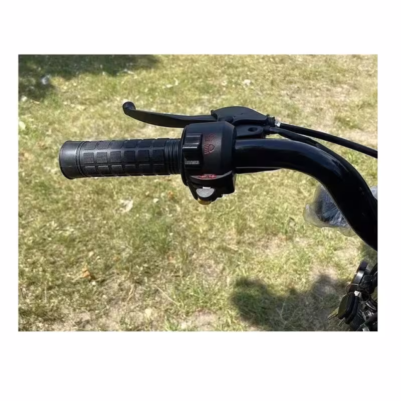 Мопед Roliz Alpha Tourist, синий