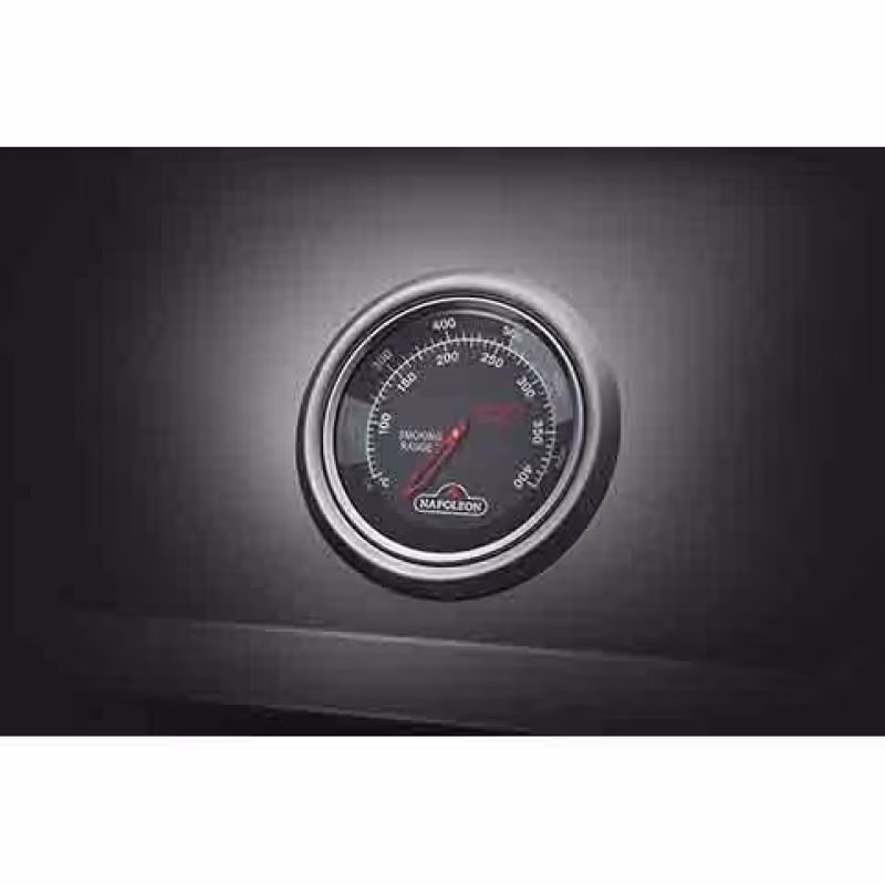 Гриль газовый Napoleon Freestyle 365 SIB