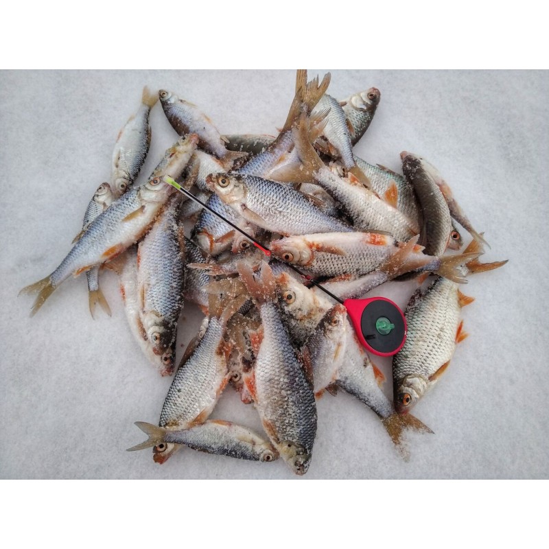 Удочка-балалайка зимняя Salmo Handy Ice Rod 24 см 