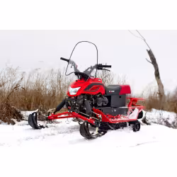 Снегоход Irbis Dingo Т200, красный 