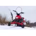 Снегоход Irbis Dingo Т200, красный 