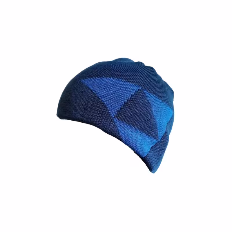 Шапка Fischer Logo Reversible G32221, синий/голубой