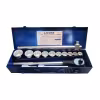 Набор головок Licota ALT-6001W, 3/4", 15 предметов