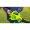 Воздуходувка аккумуляторная Greenworks G24AB