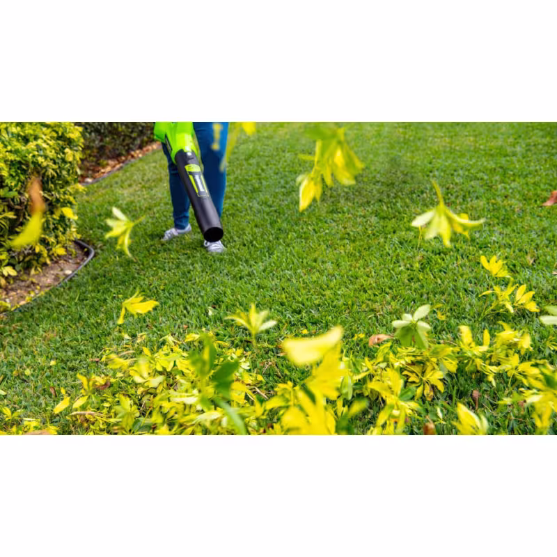 Воздуходувка аккумуляторная Greenworks G24AB