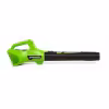 Воздуходувка аккумуляторная Greenworks G24AB
