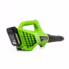 Воздуходувка аккумуляторная Greenworks G24AB