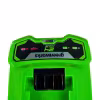 Зарядное устройство Greenworks G24C4, 24В, 4А