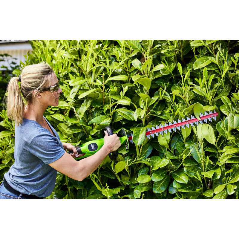 Ножницы для кустов аккумуляторные Greenworks G24HT56